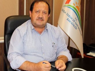 Samsun’da 3 Bin 617 Ruhsatlı Balıkçı Ve 470 Tane De Balıkçı Teknesi Var