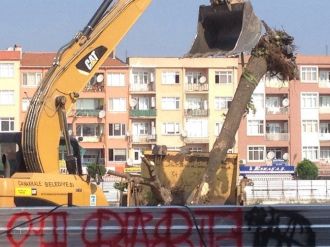 Yeşil Bina Yapmak İçin Belediye Alanındaki Çınar Ağaçları Söküldü