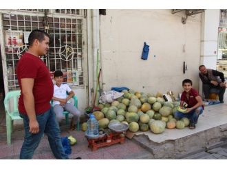 Silopi’de Kavun Fiyatı 25 Kuruşa Düştü