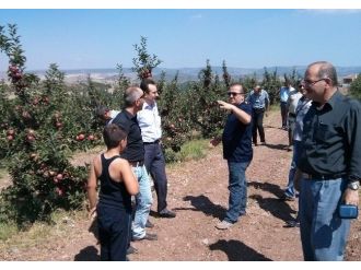 Kapama Bahçe Kontrolleri Yapıldı