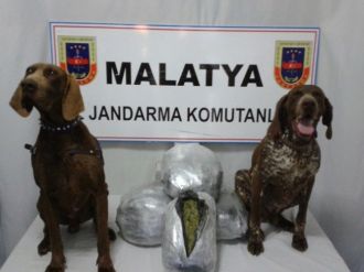 Yolcu Treninde 20 Kilo Esrar Ele Geçirildi