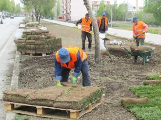 Büyükşehir, 150 Bin Metrekareye Hazır Çim Seriyor