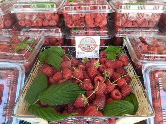 Kosovalılardan Böğürtlen Ve Ahududu Şenliğine Büyük İlgi