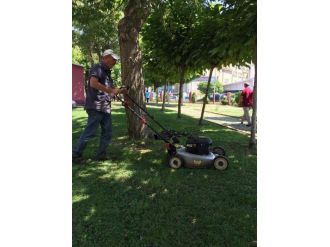 Körfez Belediyesi Ot Biçme Çalışmaları Devam Ediyor