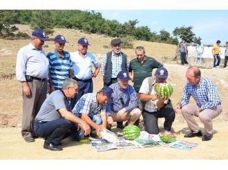 Balıkesir Ve Manisa’nın Mahalleleri Yeni Yol İle Birleşti