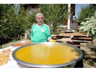 Ahlat’ta Kayısı Bereketi