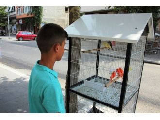 Kuşlar Banyo Sulukları İle Serinletiliyor