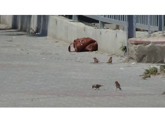 Bolu’da İlkokulun Önünde Bomba Paniği