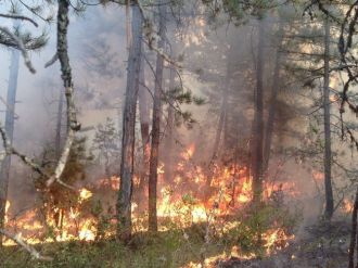 Karabük’te Büyük Orman Yangını