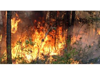 Karabük’teki Orman Yangını Kısmen Kontrol Altında