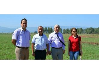 Efeler’de Mera Islah Alanlarında İnceleme Yapıldı