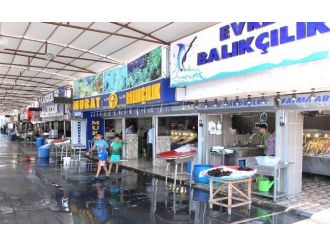 (Özel Haber) Balık Fiyatları Altını Solladı