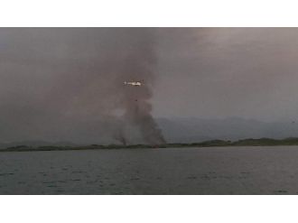 Dalyan Kanalı Sazlık Alanda Yangın Çıktı