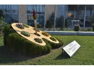 Parklar İçin İlginç Yeni Tasarımlar