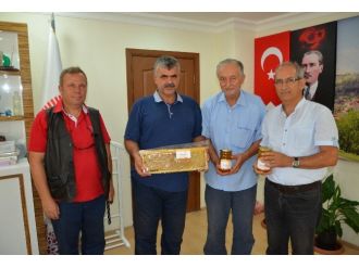 Ankara’da Arıcılar Bal Hasadına Başladı