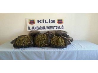 Kilis’te 29 Kilo Kubar Esrar Ele Geçirildi