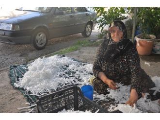 80 Yaşındaki Ummahan Ninenin Emeklilik Mücadelesi