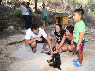 Karain Kazı Ekibi Sokakta Buldukları Köpeği Sahiplendi