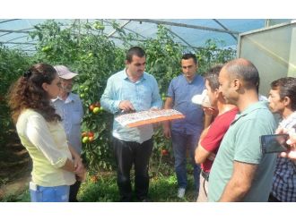 Çiftçiye Tarlada Eğitim