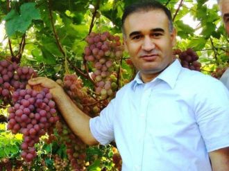 Sarıgöl Kaymakamı Işık, Üzüm Bağlarını İnceledi