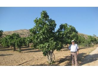 O Taş Ocağı Malzeme Temininden Sonra Kapatılacak