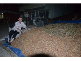 Gündüz Hasat, Gece Nöbet