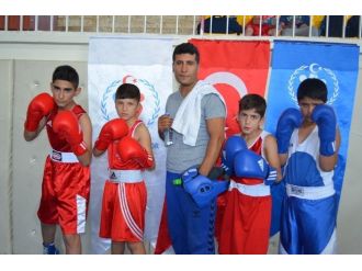 Minik Boksörlerin Ringde Mücadelesi Devam Ediyor