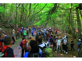 Evliya Çelebi’nin İzinde Adım Adım Bursa