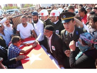 Erzurum Şehidine Ağladı