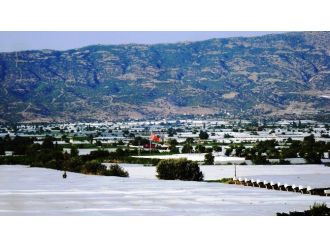 Sarıgöl Ovası Beyaza Büründü