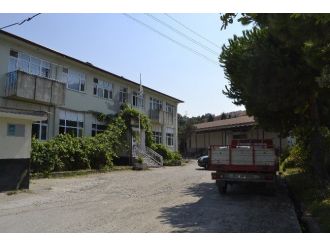 Alaplı Fiskobirlik Fındık Alımlarına Başlıyor