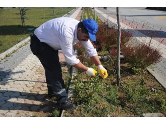 Bozüyük’te Yeşil Alanlar Her Zaman Bakımlı Ve Güzel