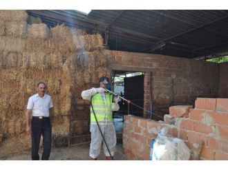 Nazilli’de İlaçlama Çalışmaları Sürüyor