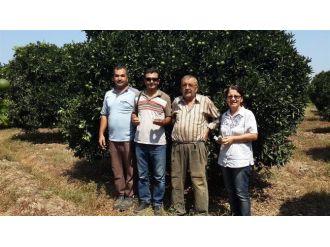 Söke’de Bahçelere Zararlı Böcek Avcıları Salındı