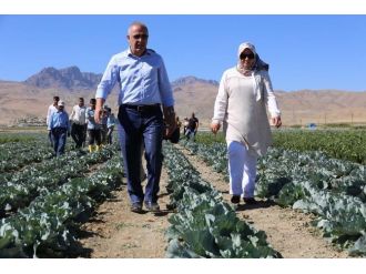 Gürpınar Belediyesi’nden Açık Sera Hizmeti