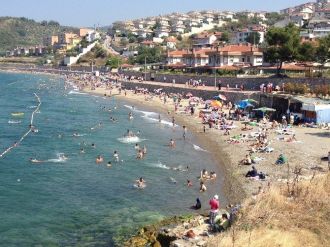 Bursa Sahilleri’nden Sevindiren Haber