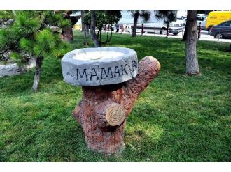 Mamak Belediyesi Parklara Kuş Yemliği Ve Suluk Yapıyor