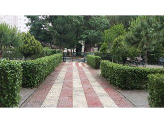 Beylikdüzü Belediyesi’nden Sitelere Ücretsiz Peyzaj Danışmanlığı