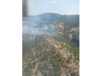 20 Dönüm Tarım Arazisi Yandı