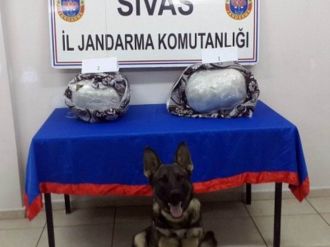 Gürün’de 10 Kilo Esrar Yakalandı