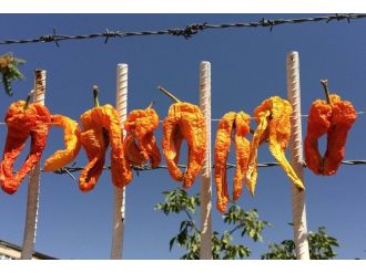 Kış Hazırlığı Okul Duvarlarını Süsledi