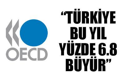OECD: Türkiye bu yıl yüzde 6.8 büyür 