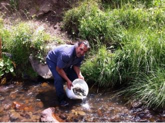 Dernek Başkanından 10 Bin Alabalık