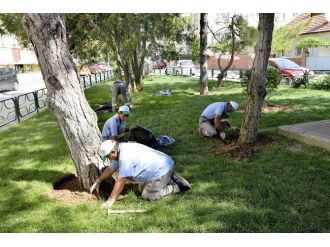 Şehit Kıdemli Yarbay Suat Coşkunalp Parkı Yenileniyor