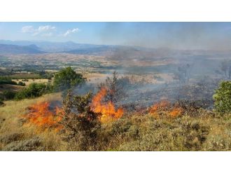 Akıncılar’da 60 Hektar Ormanlık Alan Kül Oldu