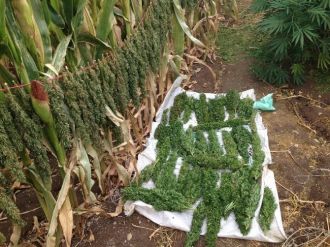 Diyarbakır’da Silah Ve Uyuşturucu Operasyonu