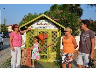 Ortaca’da Sokak Kedilerine Modern Yuva