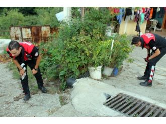 Tartıştığı Ağabeyini Tüfekle Yaraladı, Sonra Hastaneye Götürdü
