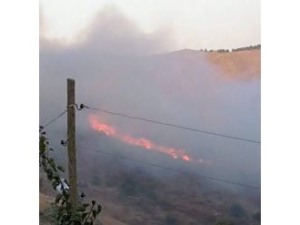 Adıyaman’da Orman Yangını