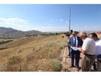 Çelik’in Yeşil Hassasiyeti